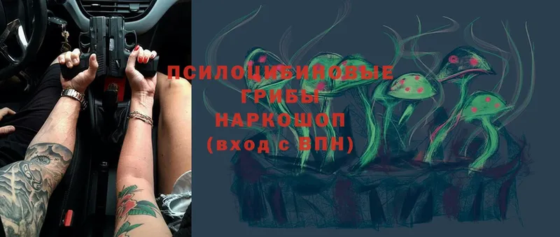 цена наркотик  blacksprut маркетплейс  даркнет состав  Бодайбо  Галлюциногенные грибы Cubensis 